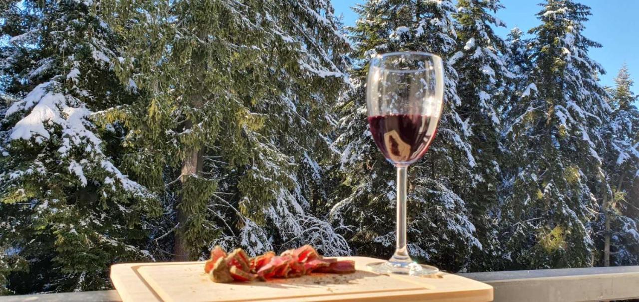 Fox Boutique Apartment Borovets Gardens Luaran gambar