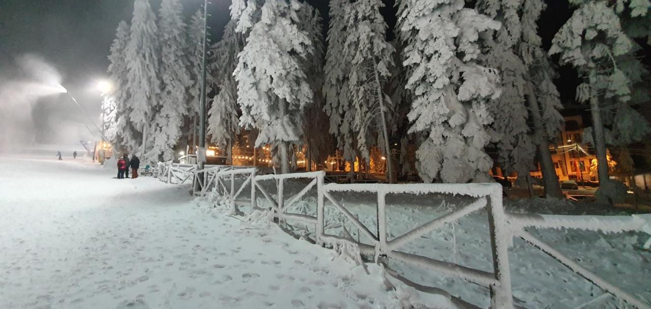 Fox Boutique Apartment Borovets Gardens Luaran gambar