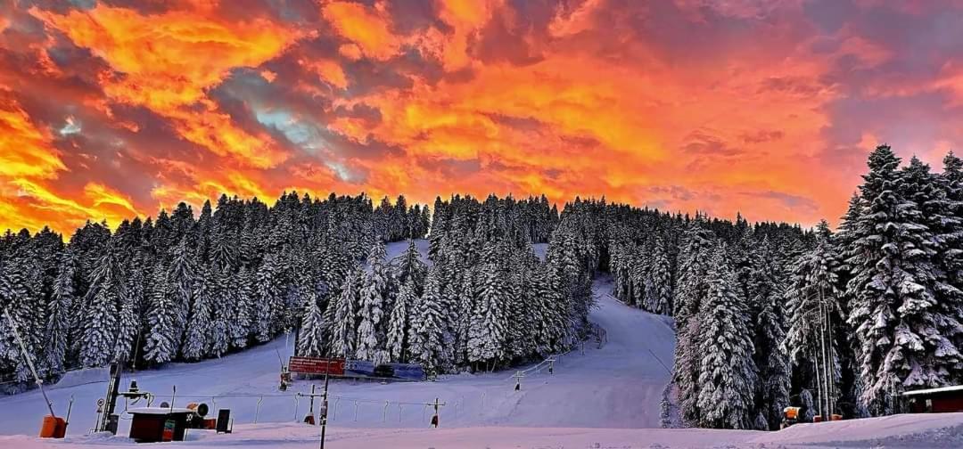 Fox Boutique Apartment Borovets Gardens Luaran gambar
